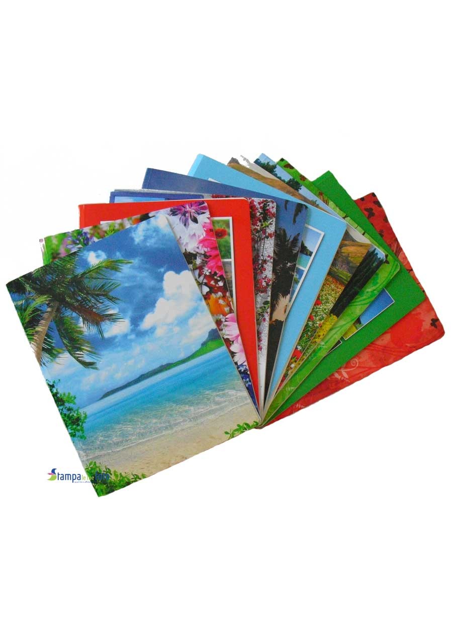 Set di 4 album portafoto 10x15 da 100 foto cadauno totale 400 foto  raccoglitore a tasche colori misti : : Casa e cucina