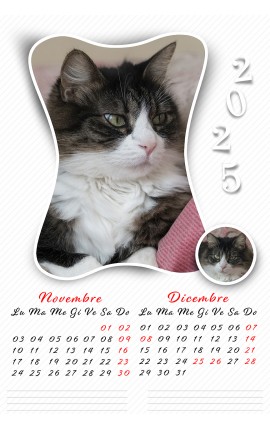 Calendario Gatto Verticale