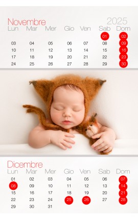 Calendario Cerchio