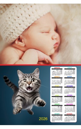 Calendario Gatta