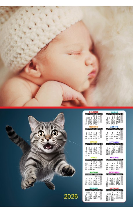 Calendario Gatta