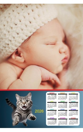 Calendario Gatta
